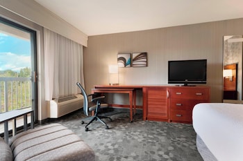 Room, 1 King Bed with Sofa bed (Mobility/Hearing Access, Transf Shwr)