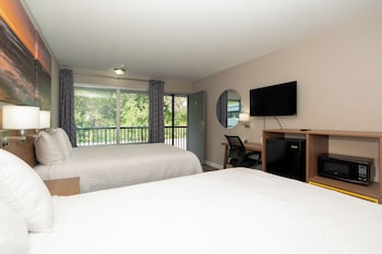 Deluxe Studio Suite, 2 Double Beds, Non Smoking