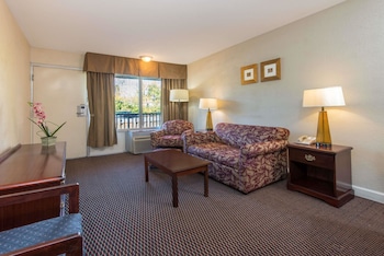 Deluxe Studio Suite, 1 King Bed, Non Smoking