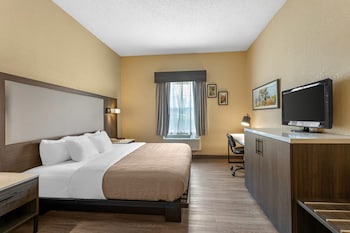 Room, 1 King Bed, Accessible, Non Smoking