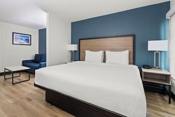 Room, 1 King Bed, Non Smoking