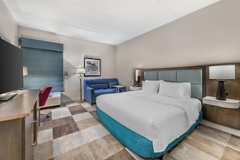 Room, 1 King Bed with Sofa bed, Accessible, Microwave (Mobility & Hearing, Roll-in Shower)