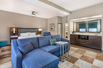 Suite, 1 King Bed with Sofa bed, Microwave