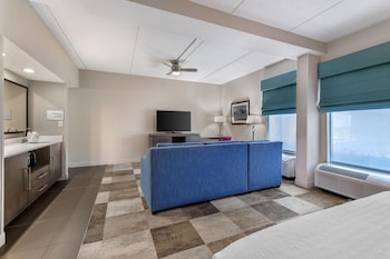Suite, 1 King Bed with Sofa bed, Microwave