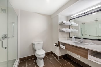 Suite, 1 King Bed with Sofa bed, Microwave