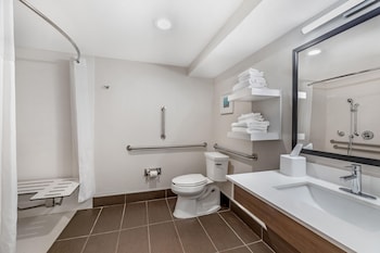Room, 1 King Bed with Sofa bed, Accessible, Microwave (Mobility & Hearing, Roll-in Shower)