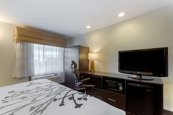 Room, 1 King Bed, Accessible, Non Smoking