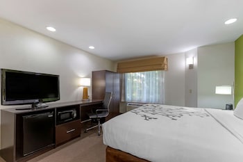 Standard Room, 1 King Bed, Non Smoking