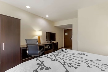 Room, 1 Queen Bed, Accessible, Non Smoking