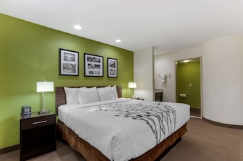 Standard Room, 1 King Bed, Non Smoking
