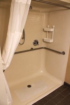Room, 1 King Bed, Accessible, Non Smoking (No Pets)