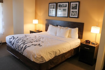 Room, 1 King Bed, Accessible, Non Smoking (No Pets)
