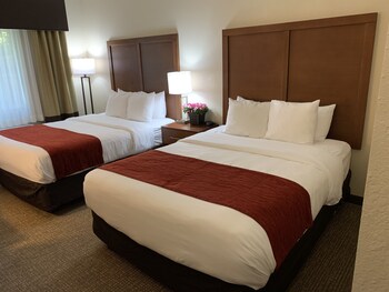 Room, 1 King Bed, Accessible, Non Smoking