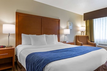 Room, 1 King Bed, Accessible, Non Smoking