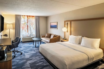 Room, 1 King Bed