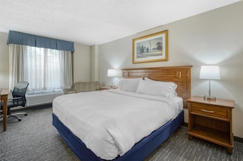 Suite, 1 King Bed, Non Smoking, Kitchenette (with Sofabed)