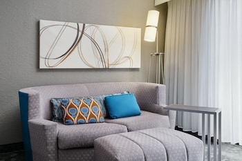 Room, 1 King Bed with Sofa bed