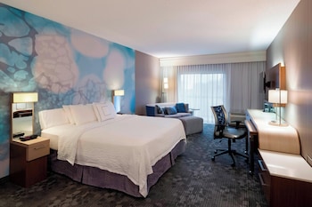 Room, 1 King Bed with Sofa bed