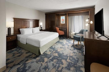 Room, 1 King Bed, Mobility Accessible, Microwave