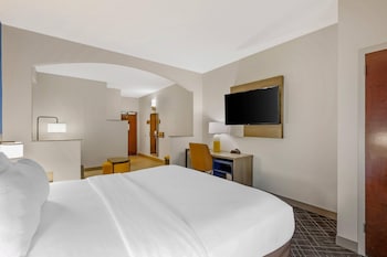 Room, 1 King Bed, Non Smoking