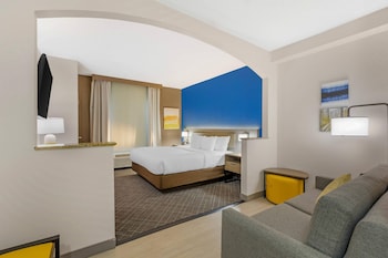 Suite, 1 King Bed with Sofa bed, Accessible, Non Smoking