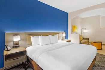 Room, 1 King Bed, Non Smoking