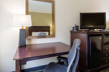 Room, 1 King Bed, Accessible, Non Smoking