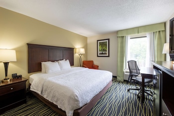Room, 1 King Bed, Accessible, Bathtub