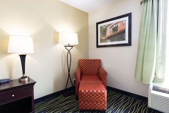 Studio, 1 King Bed, Refrigerator & Microwave (Shower)