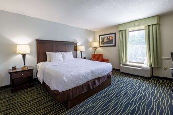 Room, 1 King Bed with Sofa bed (Large Room, Shower Only)
