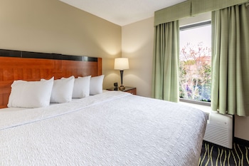 Suite, 1 King Bed, Refrigerator & Microwave, Lake View