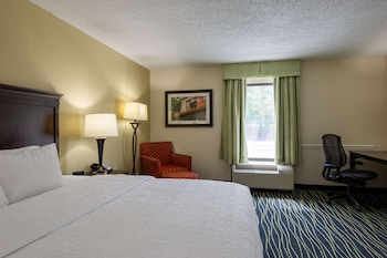 Studio, 1 King Bed, Refrigerator & Microwave (Shower)