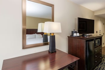 Room, 1 King Bed, Accessible, Bathtub