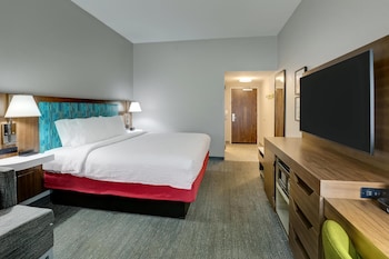 Room, 1 King Bed with Sofa bed, Refrigerator & Microwave