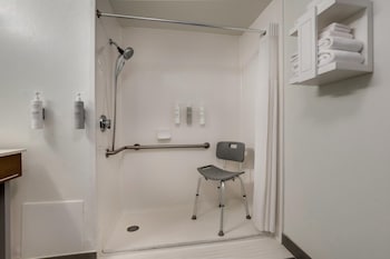 Room, 1 King Bed, Accessible (Roll-In Shower)