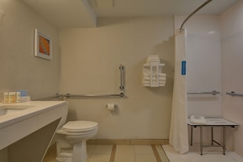 Room, 1 King Bed, Accessible, Non Smoking