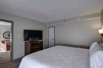 Suite, 1 King Bed, Accessible, Non Smoking