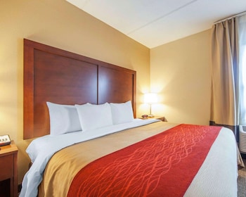 Suite, 1 King Bed with Sofa bed, Non Smoking