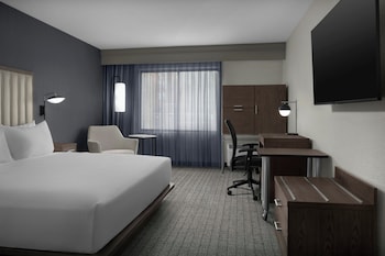 Room, 1 King Bed with Sofa bed
