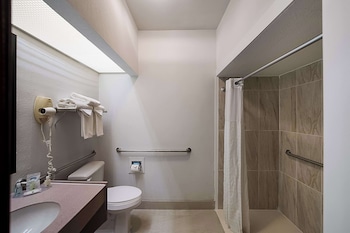 Room, 1 King Bed, Accessible, Non Smoking