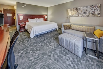 Room, 1 King Bed with Sofa bed (Mobility/Hearing Access, Transf Shwr)