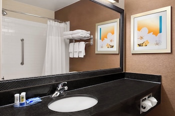 Executive Suite, 1 King Bed with Sofa bed