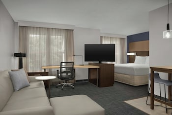 Studio, 1 King Bed with Sofa bed