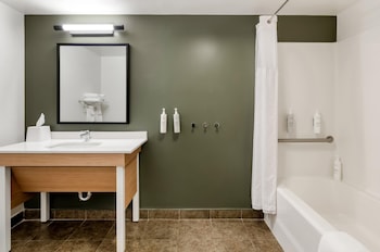 Room, 1 King Bed with Sofa bed, Accessible, Bathtub