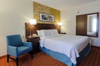 Room, 1 King Bed