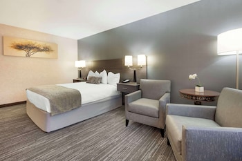Standard Room, 1 Queen Bed, Accessible, Refrigerator & Microwave