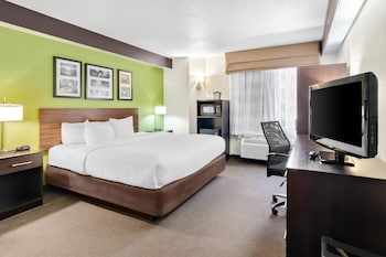 Room, 1 Queen Bed, Non Smoking