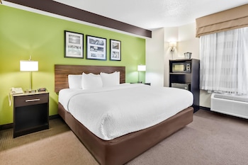 Room, 1 Queen Bed, Non Smoking
