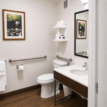 Room, 1 King Bed, Mobility Accessible, Microwave