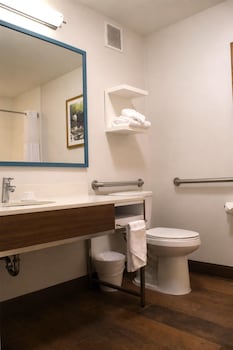 Room, 1 King Bed, Mobility Accessible, Microwave